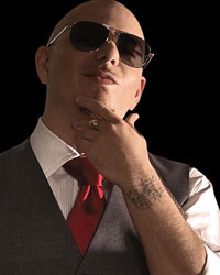 Pitbull